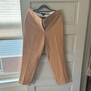 Ann Taylor Camel Ankle Pants